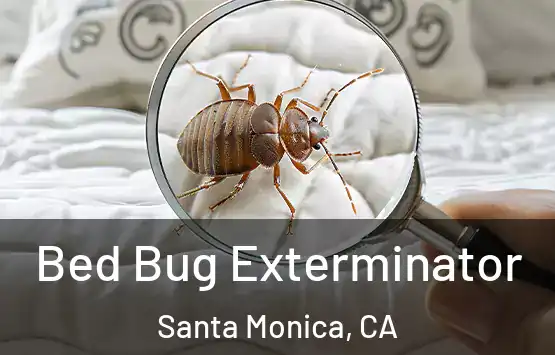  Bed Bug Exterminator Santa Monica, CA