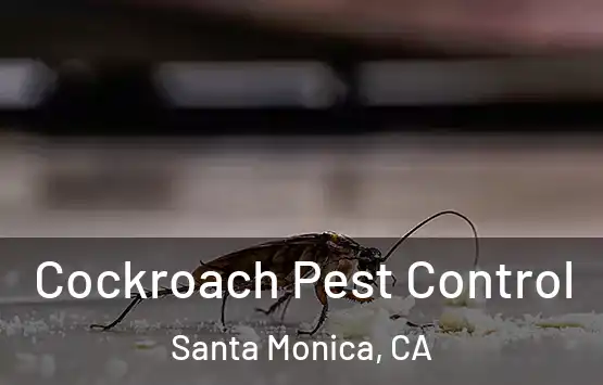  Cockroach Pest Control Santa Monica, CA
