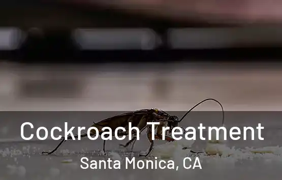  Cockroach Treatment Santa Monica, CA