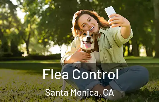  Flea Control Santa Monica, CA