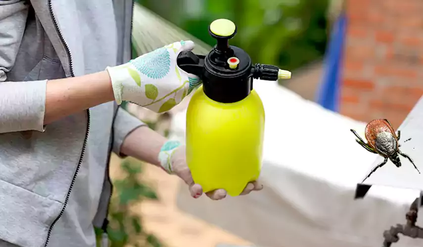 Ticks Pest Control Santa Monica, California