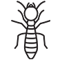Termites Pest Control Santa Monica, California