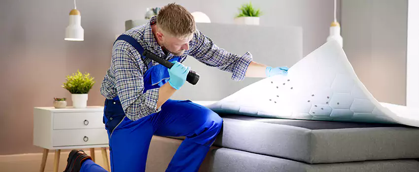 bed-bug-treatment in Santa Monica, CA