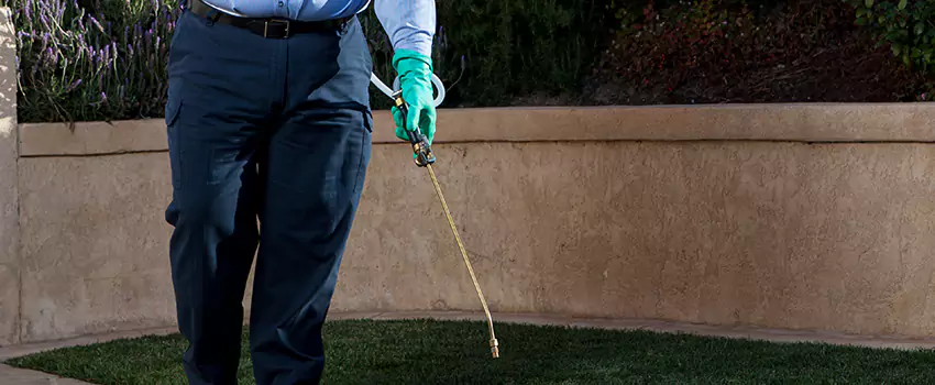 Emergency Pest Extermination for Children and Pets Santa Monica, CA