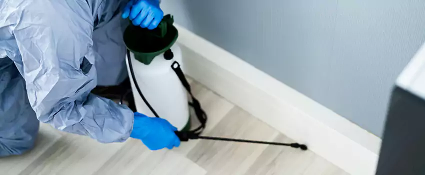 cockroach-exterminator in Santa Monica, CA