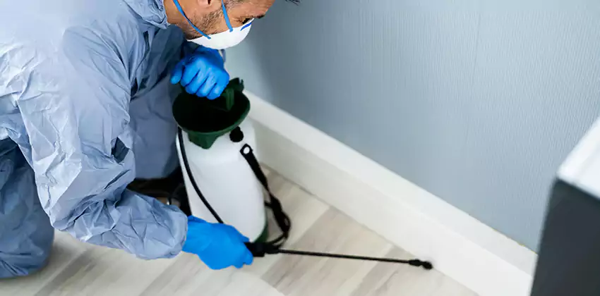 commercial-pest-exterminator in Santa Monica, CA
