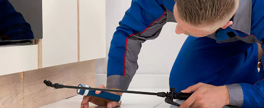 Pest Exterminator Company in Santa Monica, CA