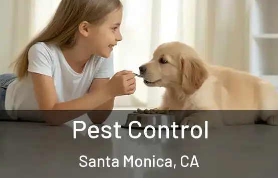 Pest Control Santa Monica, CA