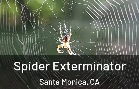 Spider Exterminator Santa Monica, CA