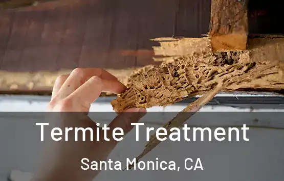  Termite Treatment Santa Monica, CA