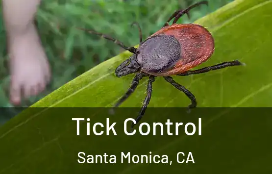  Tick Control Santa Monica, CA